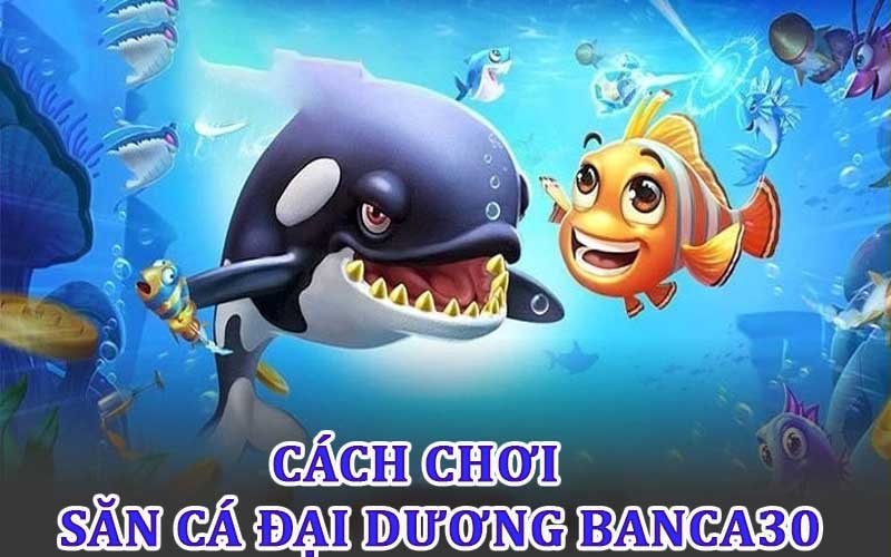 Săn cá đại dương với cách chơi hiệu quả