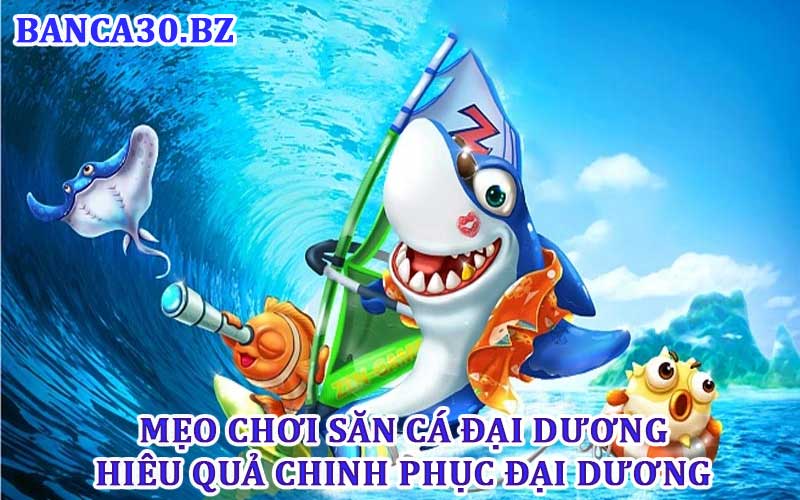 Săn cá đại dương chinh phục biển cả 