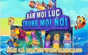 Săn cá đại dương thú vị cùng Banca30